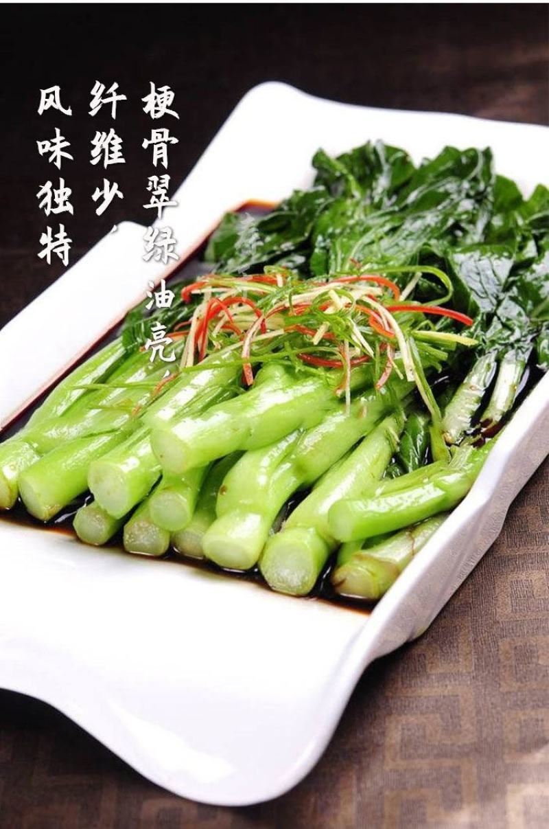 四九菜心种子种籽菜苔青油甜菜心增城连州秋季四季蔬菜孑菜籽