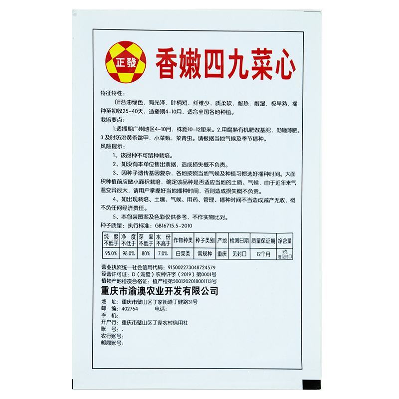 四九菜心种子种籽菜苔青油甜菜心增城连州秋季四季蔬菜孑菜籽