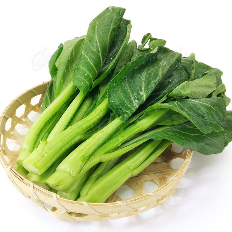 四九菜心种子种籽菜苔青油甜菜心增城连州秋季四季蔬菜孑菜籽