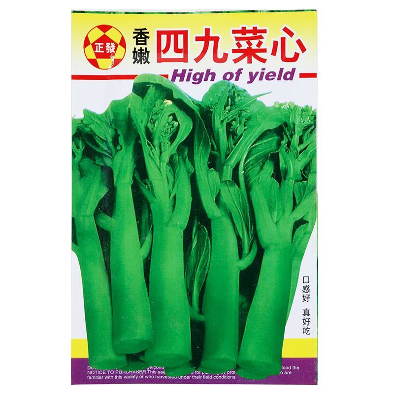 四九菜心种子种籽菜苔青油甜菜心增城连州秋季四季蔬菜孑菜籽