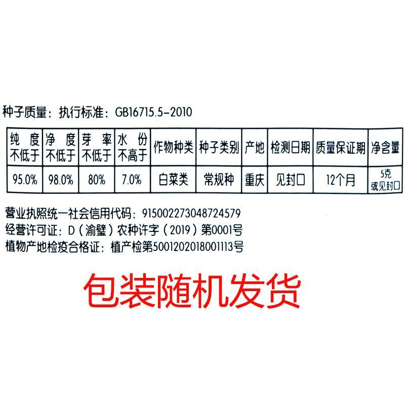 四九菜心种子种籽菜苔青油甜菜心增城连州秋季四季蔬菜孑菜籽