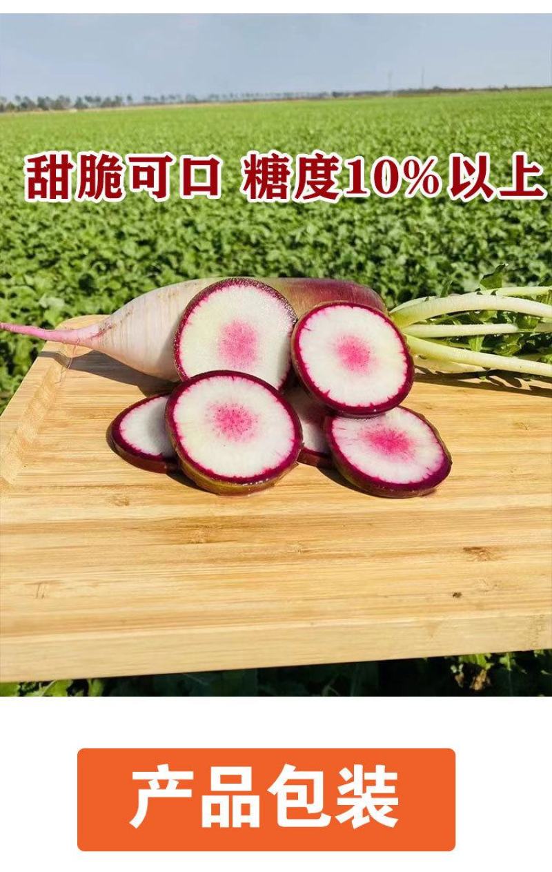 冰淇淋萝卜种子，单根800克，紫糖心，糖度10