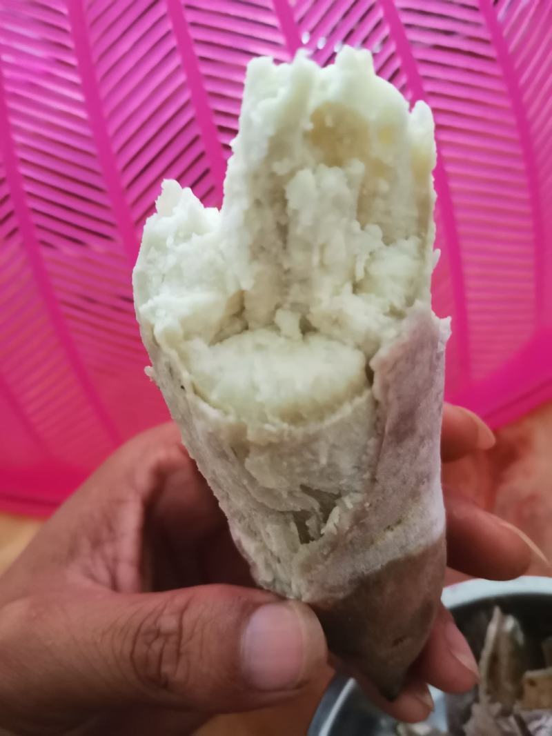 沿海地区，咸水爆皮王