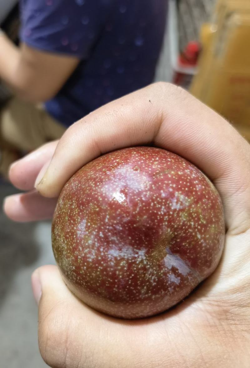 【顺丰包邮】银妃钱排红心三华李子现货当季酸甜脆李子水果