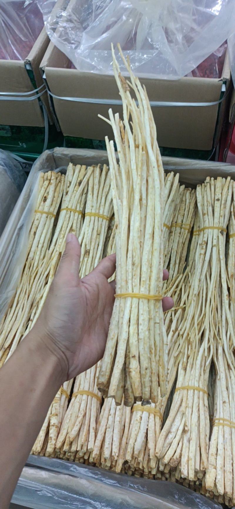 沙参，北沙参，产地直销，沙参节，长沙参，短沙参，沙参碎