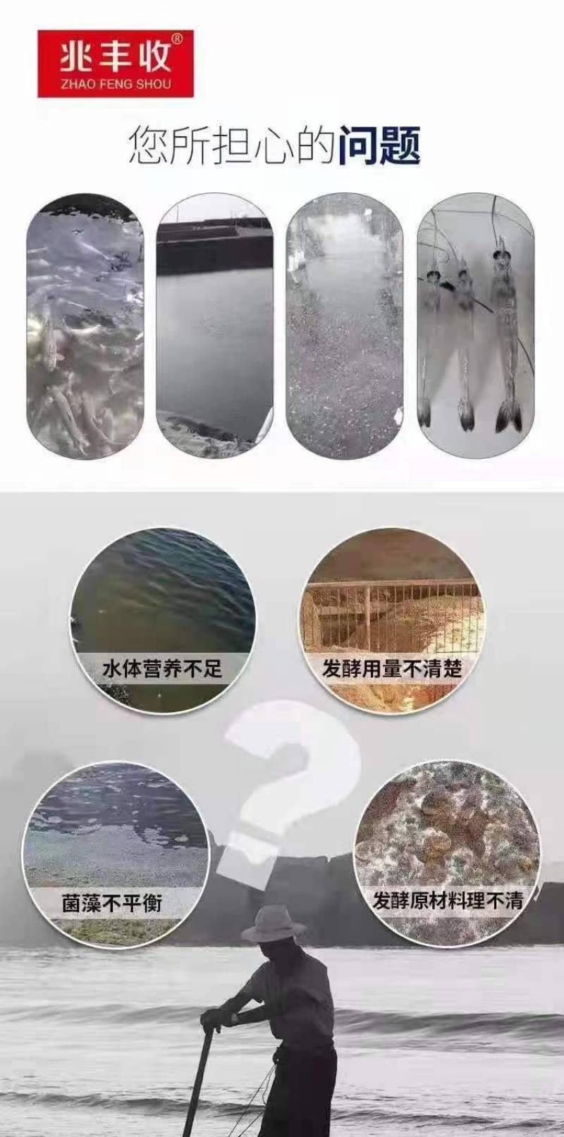 水产生物肥，可用于养殖鱼虾蟹，改善水质，培藻肥水