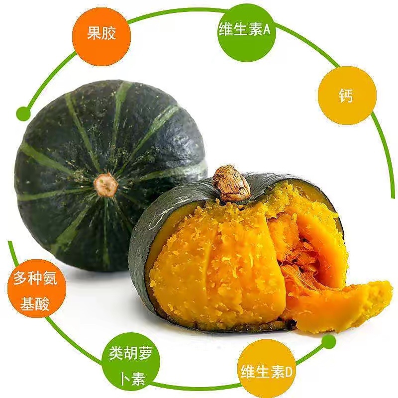 贝贝南瓜🎃新鲜大量现货批发市场，有需要随时联系我