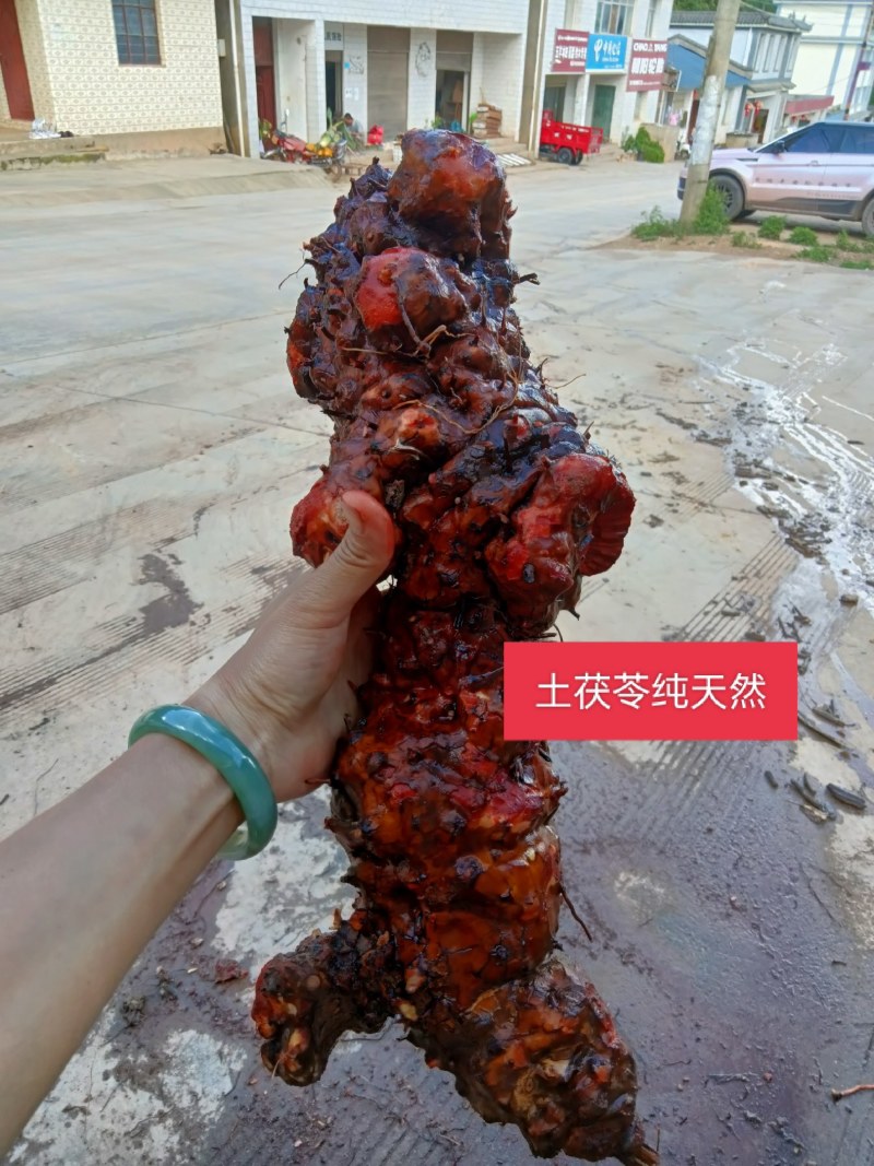 正宗云南红肉野生土茯苓货真价实野生土茯苓原生态中药材鲜货