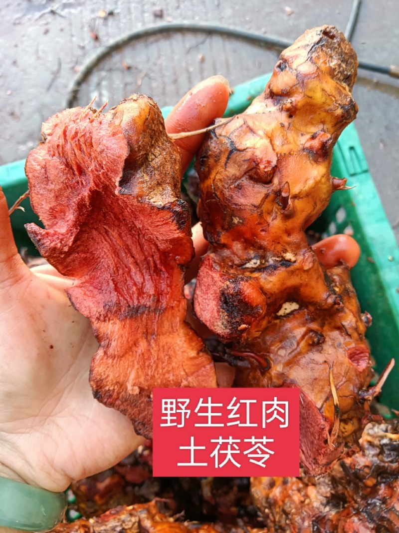 正宗云南红肉野生土茯苓货真价实野生土茯苓原生态中药材鲜货