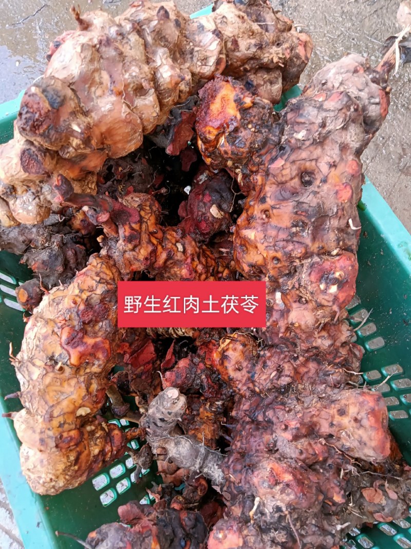 正宗云南红肉野生土茯苓货真价实野生土茯苓原生态中药材鲜货