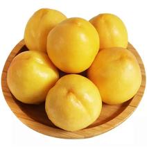 油桃新鲜水果当季整箱5斤包邮当季时令水蜜桃现摘现发黄油桃