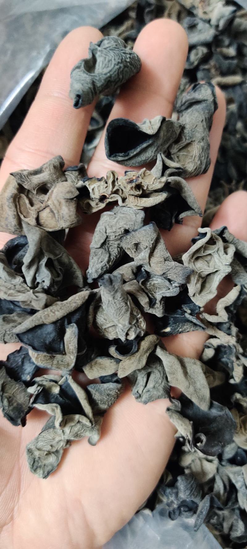 云耳，小木耳，质量好，干度好，泡发高！！