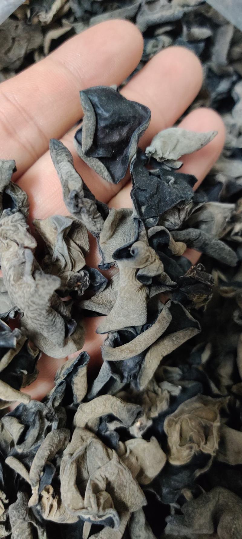 云耳，小木耳，质量好，干度好，泡发高！！