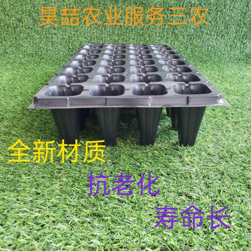 穴盘，育苗穴盘，各种各样蔬菜育苗穴盘，现货供应中