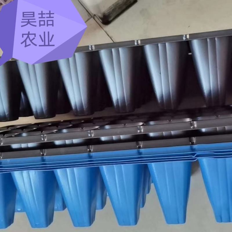 穴盘，育苗穴盘，各种各样蔬菜育苗穴盘，现货供应中