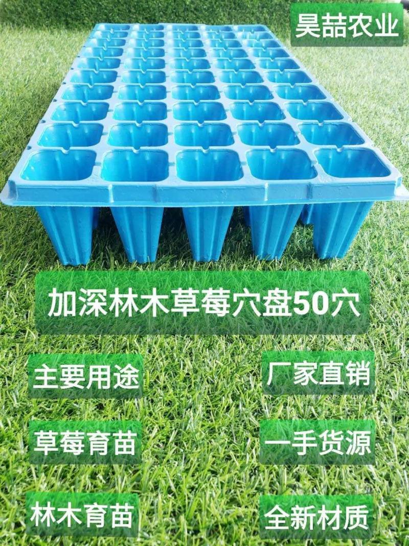 穴盘，育苗穴盘，各种各样蔬菜育苗穴盘，现货供应中