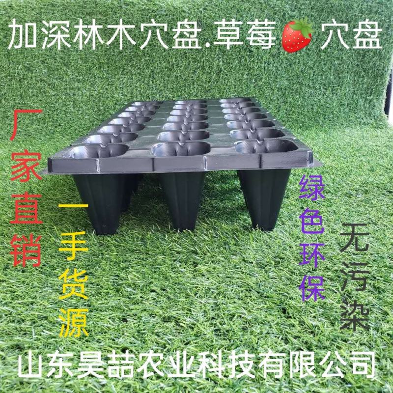 穴盘，育苗穴盘，各种各样蔬菜育苗穴盘，现货供应中