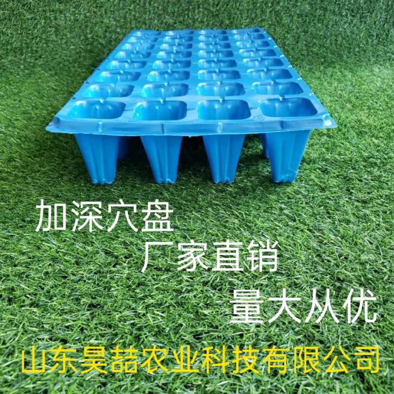 穴盘，育苗穴盘，各种各样蔬菜育苗穴盘，现货供应中