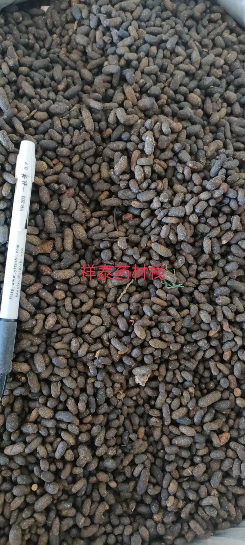 《火爆》五灵脂（祥泰药材栈）中药材批发零售产地大货祥泰
