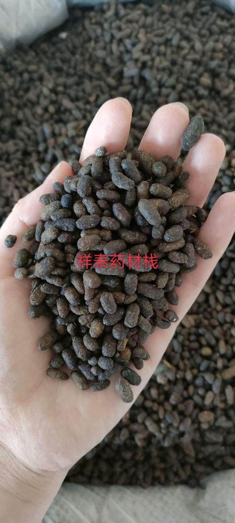 《火爆》五灵脂（祥泰药材栈）中药材批发零售产地大货祥泰