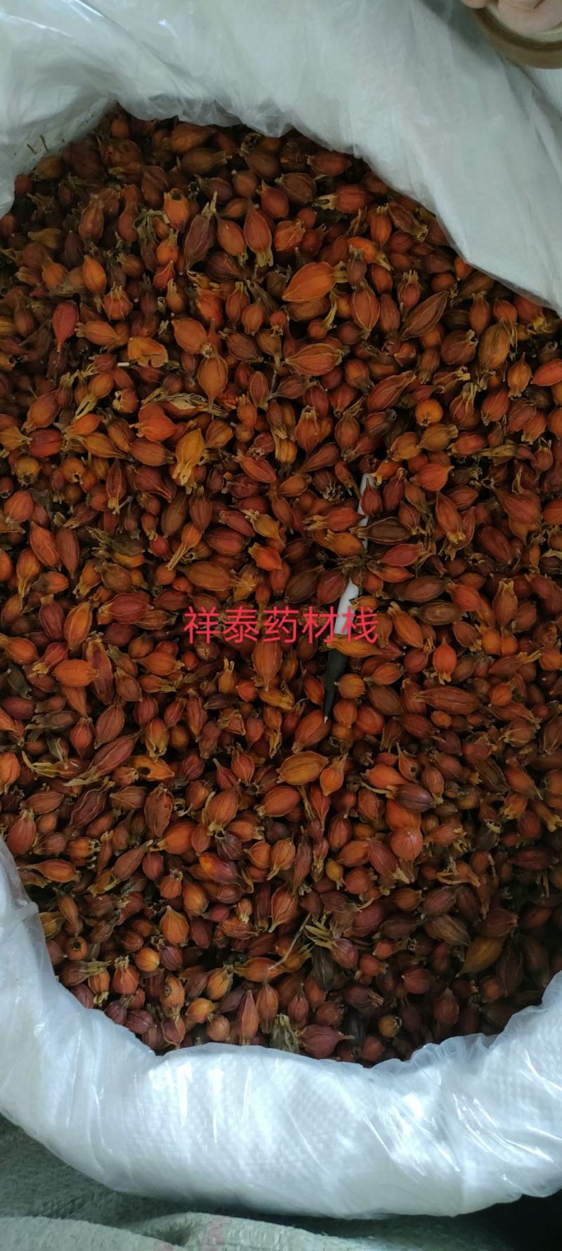 《火爆》栀子（祥泰药材栈）量大从优中药材批发零售