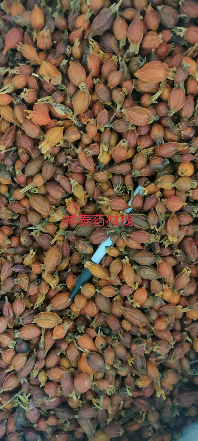 《火爆》栀子（祥泰药材栈）量大从优中药材批发零售