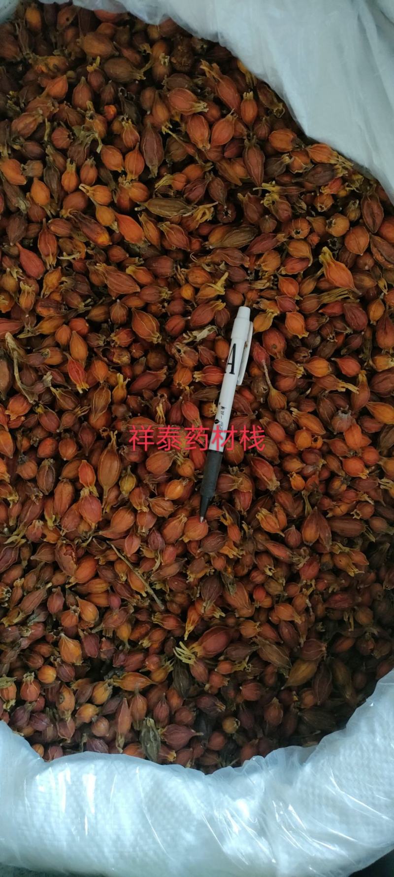 《火爆》栀子（祥泰药材栈）量大从优中药材批发零售