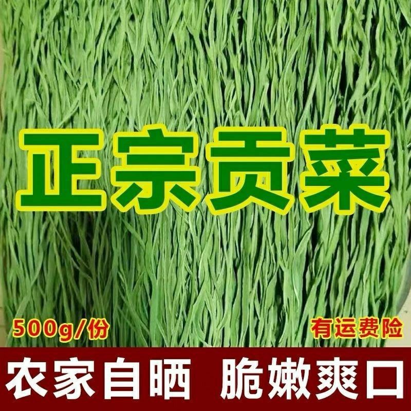 农家自产正宗无叶特级贡菜新鲜苔菜农家士特产无叶贡菜一斤包