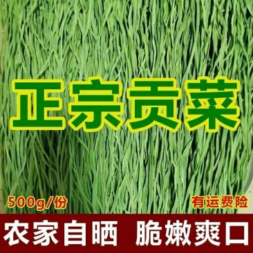 农家自产正宗无叶特级贡菜新鲜苔菜农家士特产无叶贡菜一斤包