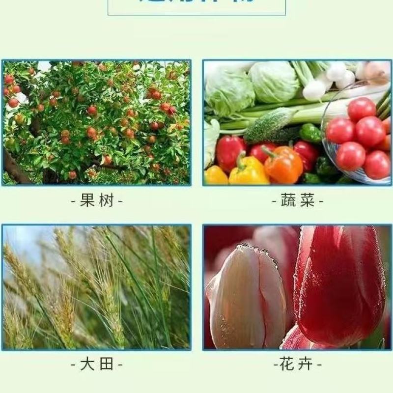 蓝月农实多2%的苄氨基嘌呤,促进细泡分裂分化,壮果膨果提