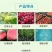 蓝月农实多2%的苄氨基嘌呤,促进细泡分裂分化,壮果膨果提