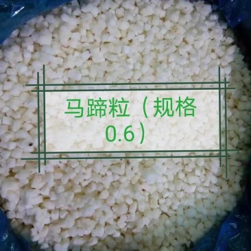 马蹄丁