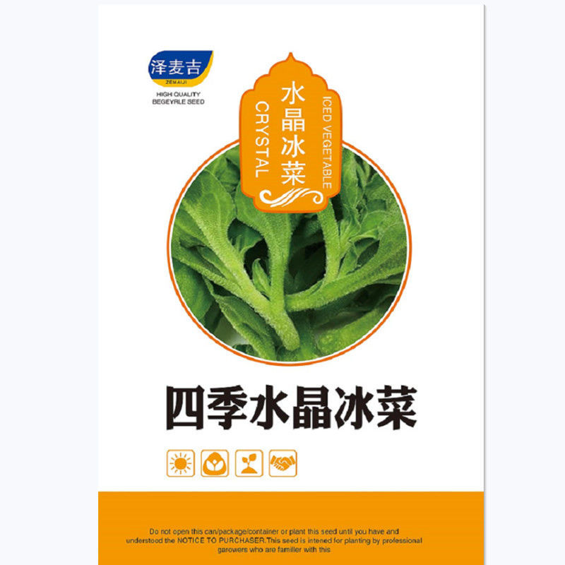 水晶冰菜种子四季阳台盆栽原装冰草种子养生特色有机栽培蔬菜