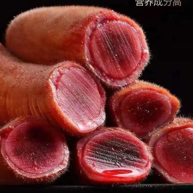 2024鲜鹿茸梅花鹿新鲜鹿茸梅花鹿养殖场新割鲜嫩血多