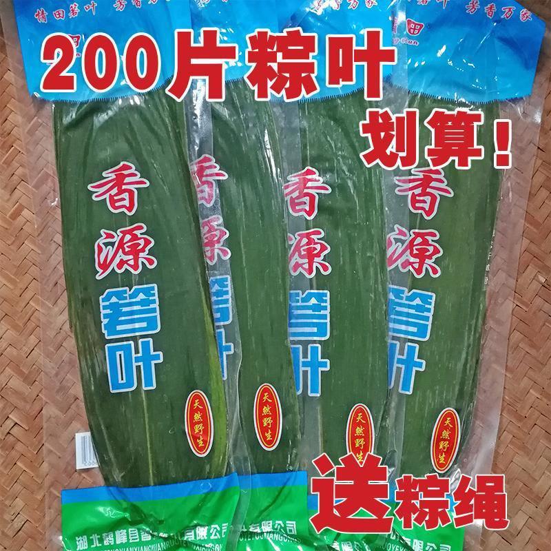 粽叶新鲜粽子叶真空装鲜粽叶小箬叶棕叶200片