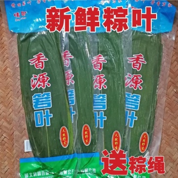 粽叶新鲜粽子叶真空装鲜粽叶小箬叶棕叶200片