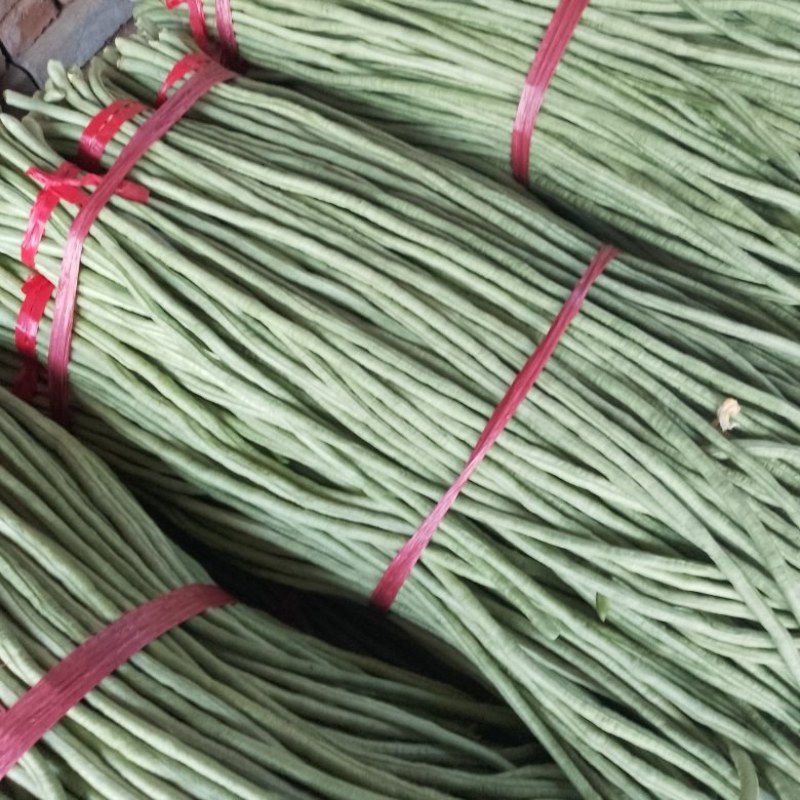 青州市精品豆角大量上市，需要的联系！