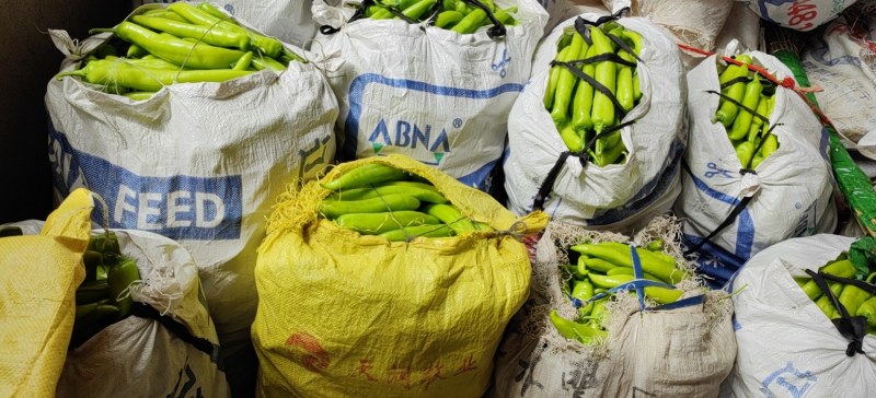 精品尖椒大量上市。货源充足，品质保证，价格低廉