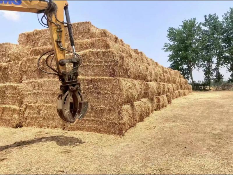 河南优质压块麦草大量销售牛羊专用产地直发每天装车