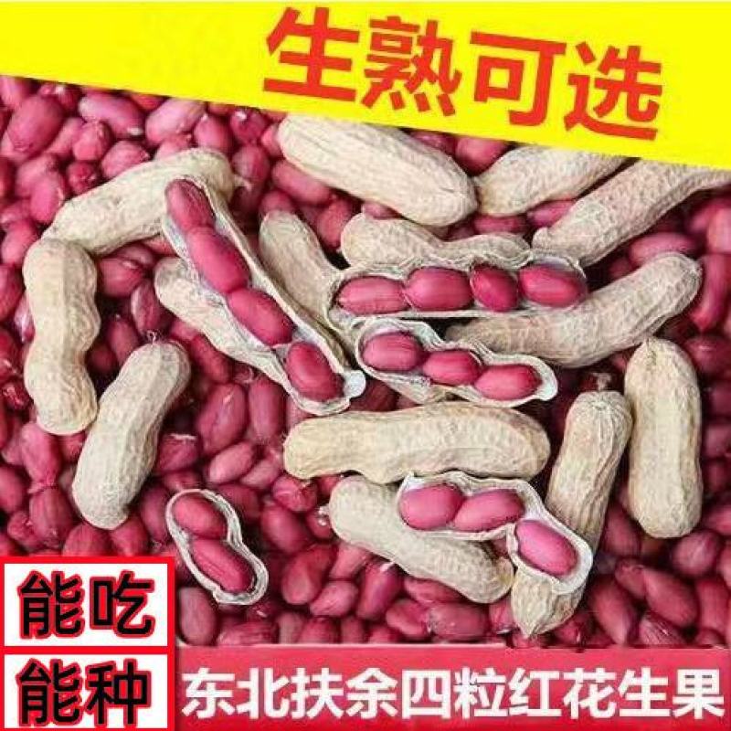 新货【炒熟花生】红花生果红皮花生米原味炒熟红皮花