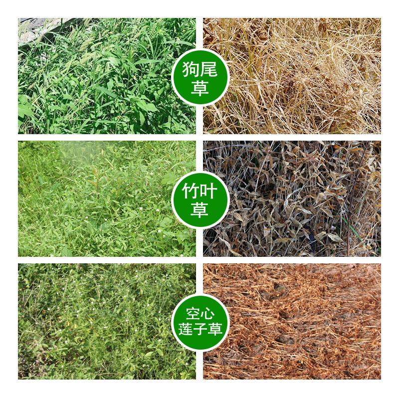 20%草铵膦草铵磷果园荒地田埂牛筋草小飞蓬杂草烂根除草