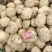 沃土，源头货源。无中间商差价，货量充足。