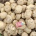 沃土，源头货源。无中间商差价，货量充足。
