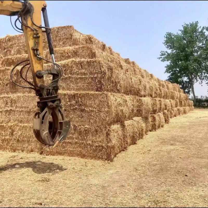 河南优质压块麦草大量销售牛羊专用产地直发每天装车