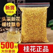 桂花桂花批发桂花香桂花茶正宗食用桂花金桂花花茶