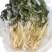 夏季菜干广东农家自晒无沙白菜干新鲜干货脱水白菜