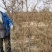 杜鹃映山红基地批发，一手货源各种规格请联系价格再议