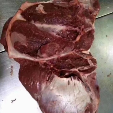 母猪前驳肉