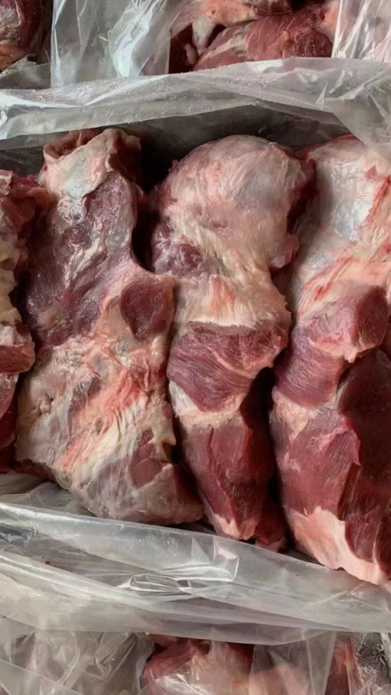母猪前驳肉