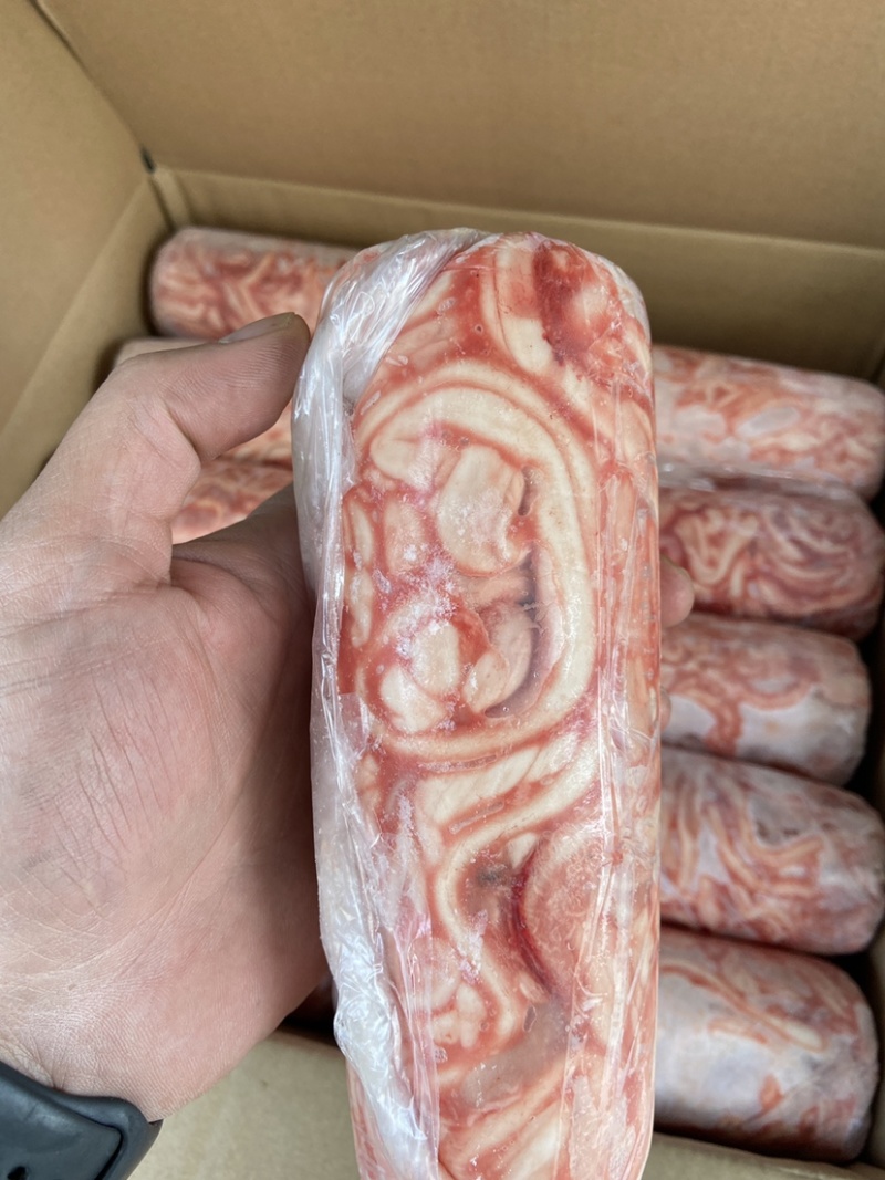 猪骨髓